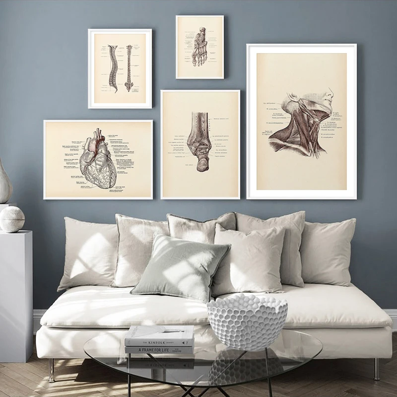 

Vintage Human Anatomy Poster Artwork Medical Wall Picture Muscle Skeleton Canvas Print Painting For Hospital Clinic Decor