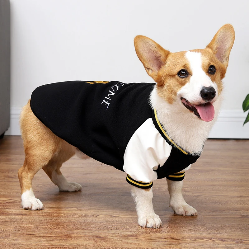 

Winter Clothes Autumn And Winter Baseball Sweater Corgi Clothing Pet Sports Warmth Suitable For Small And Medium-sized Dogs