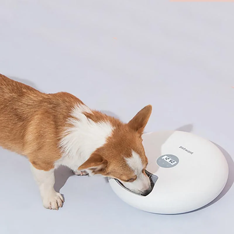 

Pet Products