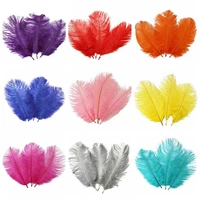 wholesale 10pcslot ostrich feather 6 8 inch15 20cm diy jewelry craft wedding party decor accessories wedding decoration plumas