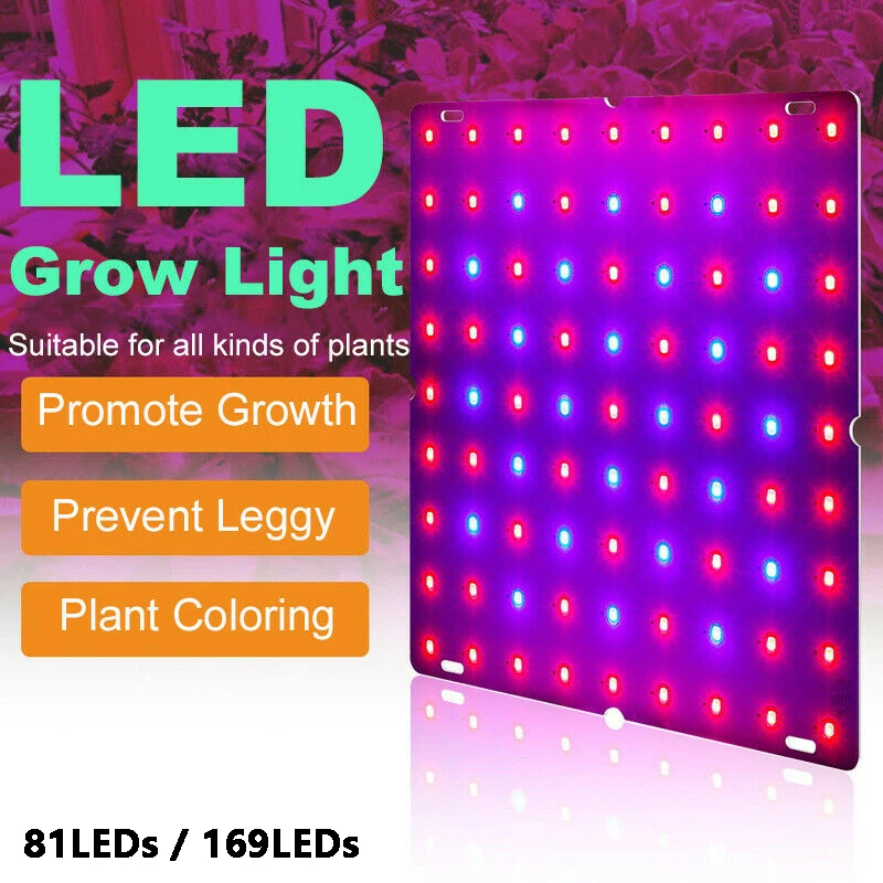 

81/169 LEDs Ultra-thin Grow Light Phytolamp Plants Lamp Beads Quantum Board Growth Lighting Hydroponics Lamp Veg Fruit Flower