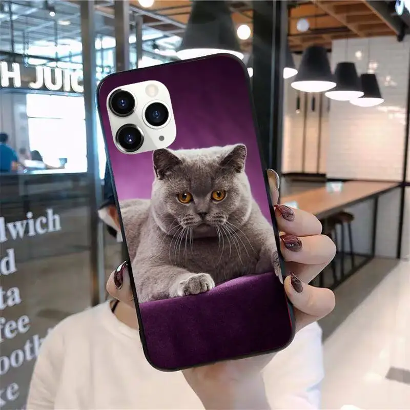 

Webbedepp British Shorthair cat Phone Case for iPhone 11 12 mini pro XS MAX 8 7 6 6S Plus X 5S SE 2020 XR