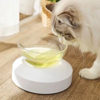 hot nonslip transparent plastic cat bowl with raised stand adjustable angle pet bowl for dog feeding and drinking pet supplies