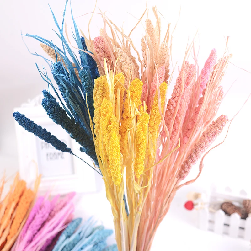 10 шт. Натуральные сушеные цветы зерно пшеничные уши букет Искусственные семья