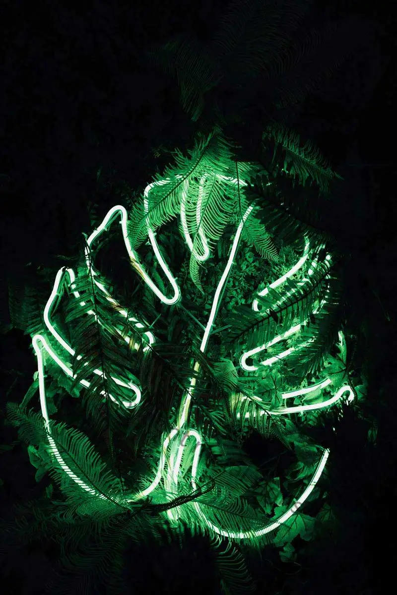 

Оловянная неоновая вывеска Monstera, Настенный декор, декор для комнаты, ретро винтажная неоновая вывеска для дома, клуба, мужской пещеры, кафе, ...