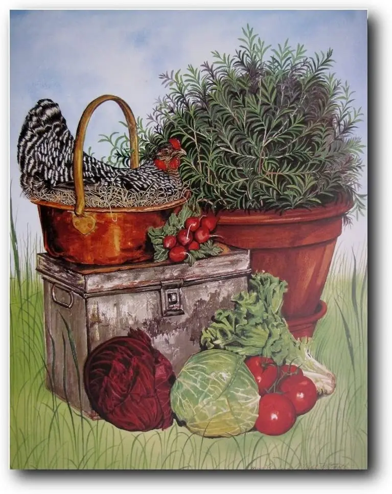 

Rooster Chicken Barred Plymouth Rock Hen Kitchen Wall Decor Art Print Poster