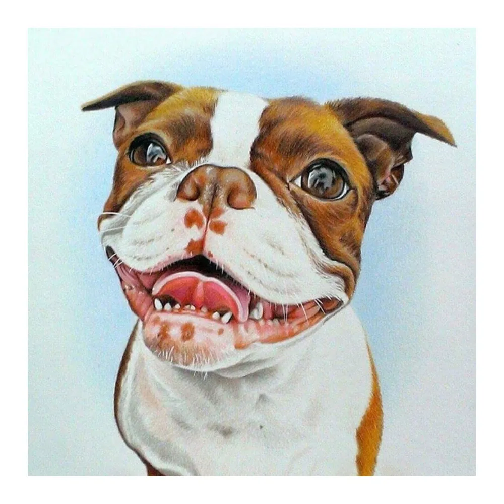 

Cartoon American Bulldog Animal Diamond Painting Round Full Drill Nouveaute DIY Needlework Mosaic Embroidery 5D Cross Stitch