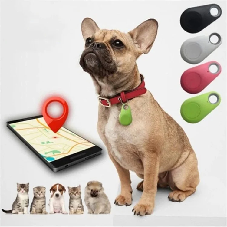 

mini accurate real time pet tracker gps cat locate tracker gps locator with Anti-lost collar