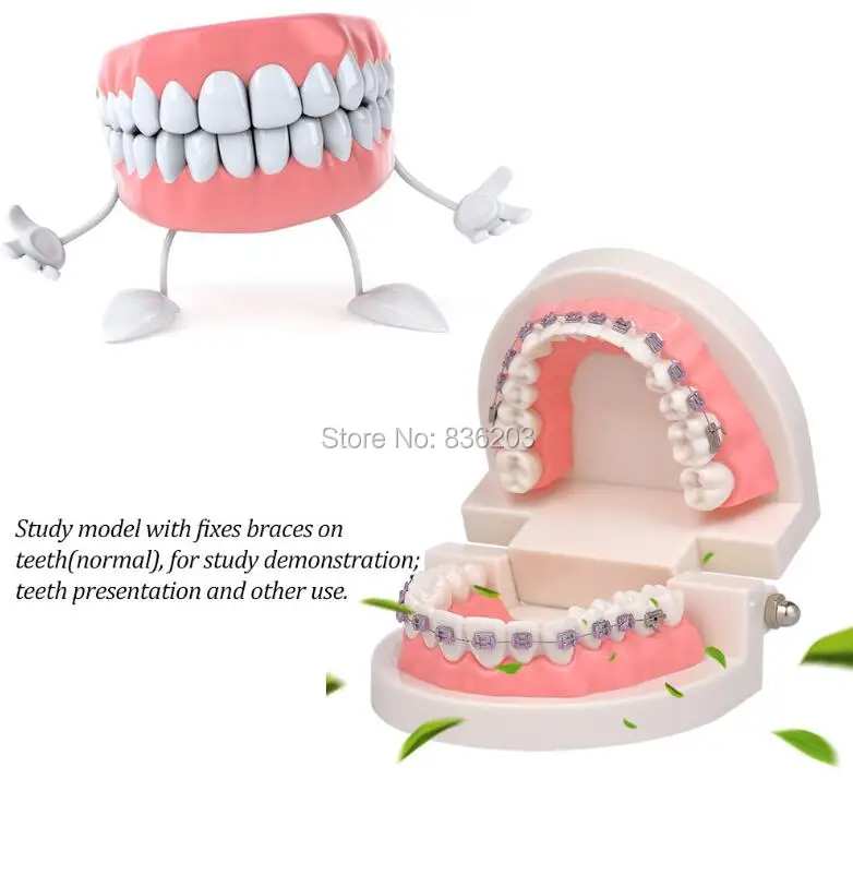Стоматологическое лабораторное оборудование отбеливание зубов ортодонтический