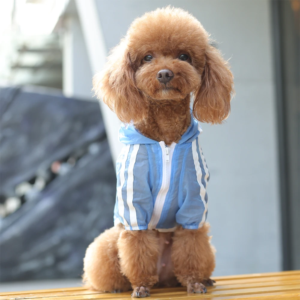 Популярная одежда для домашних животных с УФ-защитой Солнцезащитная куртка