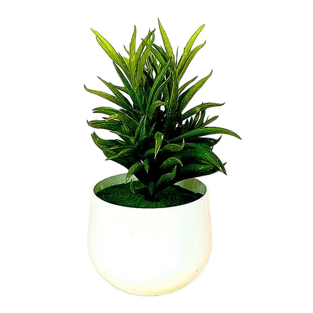 

1 Set Simulation Succulents Eco-friendly Easy to Clean Green Simulation Potted Plants for Home