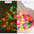 Цветные высококачественные стразы, неоновые стразы горячей фиксации, фосфоресцирующие электрические стразы для железного украшения для одежды F0192