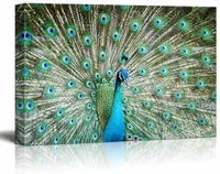 canvas print art peacock beautiful feathers high resolution photos modern wall decorationhome stretch gallery canvas wrap