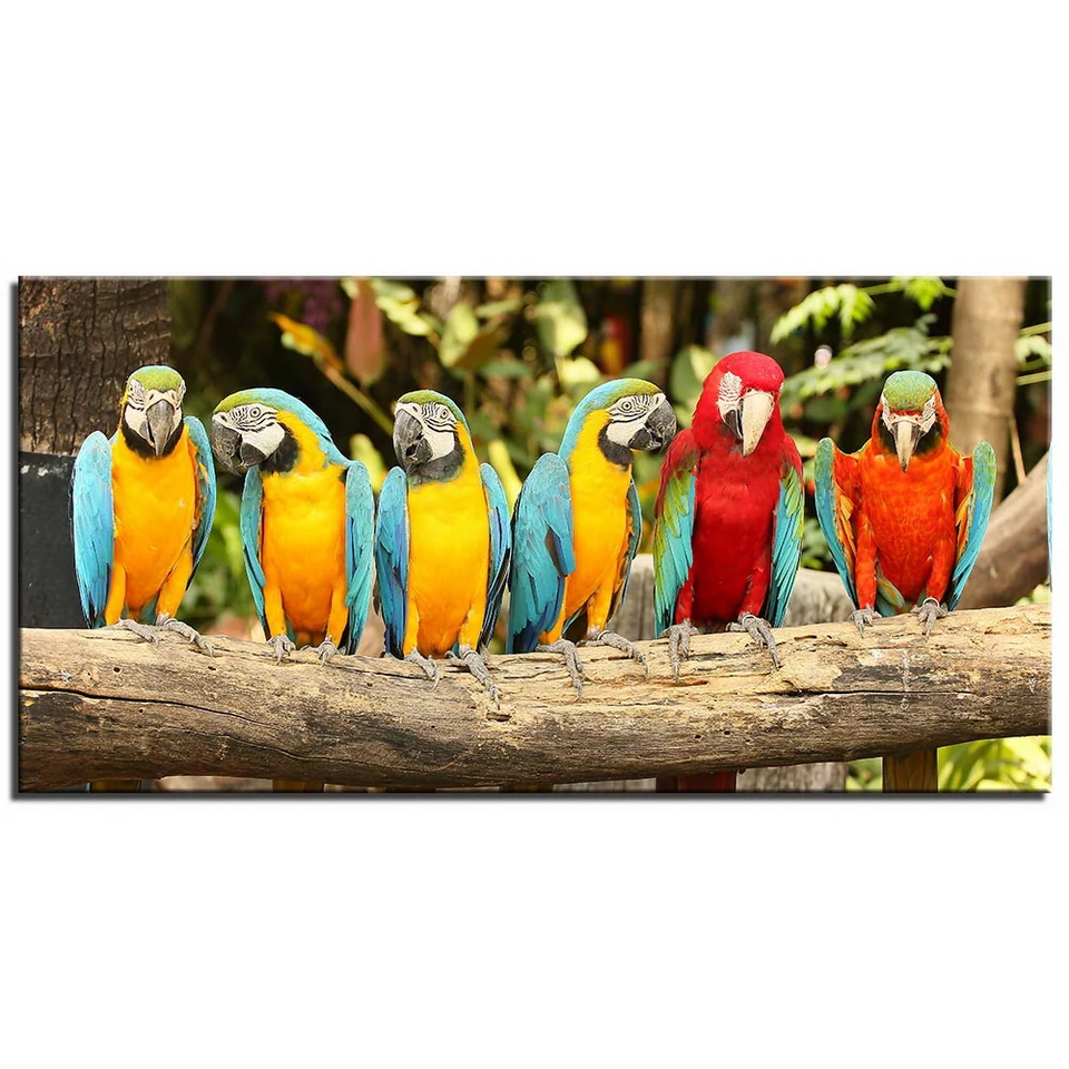 

Artistic Print Drawing Art Picture Poster Animal Parrot Family Painting Decoration on Canvas Decor House Home Living Room D315