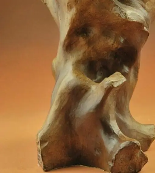 Креативная скульптура из смолы большая кошка голова льва бюст статуя животного