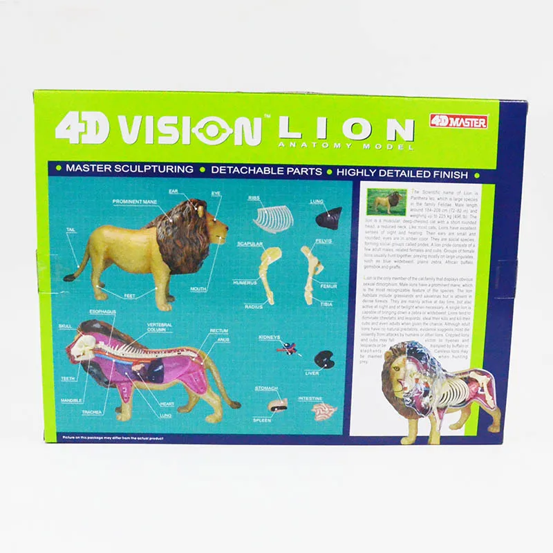 Игрушка-пазл Beast Wild Animal Lion inner Organ анатомическая Учебная модель 4D MASTER | Канцтовары