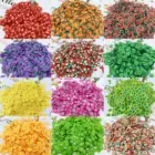 12 г DIY моделирование фруктовый ломтик декор для блеска для губ DIY ручной работы Блеск для губ слаймы дизайн ногтей Dercor мягкий ломтик