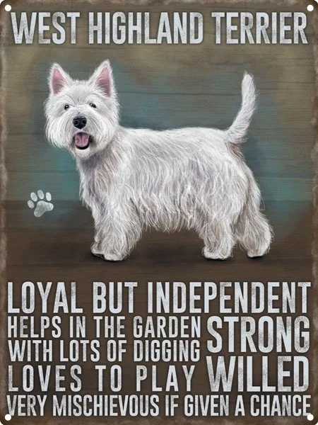 

Retro tin paintings West Highland Terrier Tin Sign