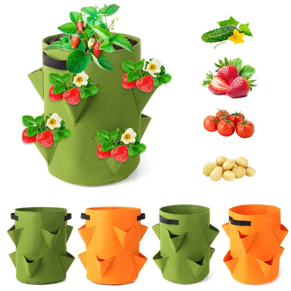 Альбом для выращивания клубники сделай сам|Тканевые горшки рассады| |