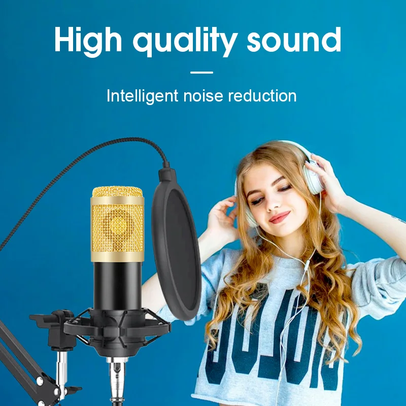 

BM800 Condenser Microphone Professional Studio Recording Microphone for Stream Podcasting YouTube Gaming Karaoke PC Microphone