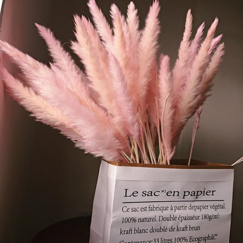 

15 Pcs Dried Small Pampas Grass Wedding Flowers Bunch Natural Home Decor Phragmites Communism Pink Artificial Flowers