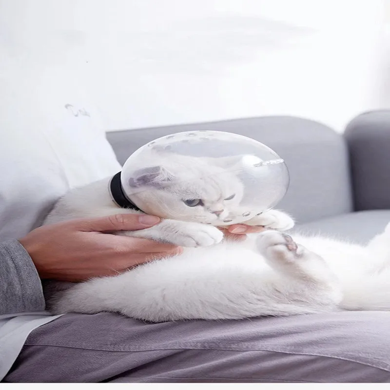 

High Quality Pet Space Headgear, Cats Hat, Plastic Material, Safe And Breathable, Prevent Licking And Biting Mask, Cats Supplies