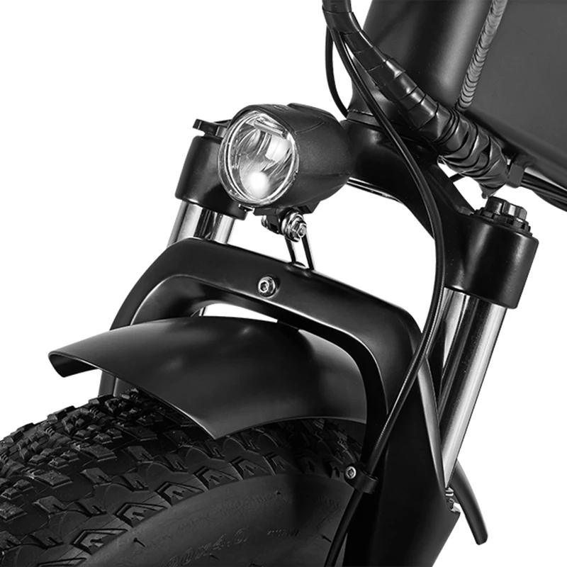 Preise Elektrische Fett Bike 20 Zoll Schnee Ebike Gefaltet EBike 20