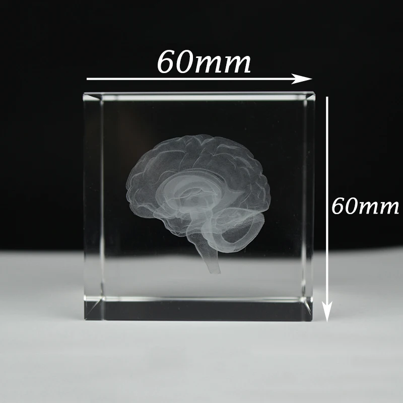 Античная Хрустальная 3d модель мозга лазерная гравировка скульптура статуэтки