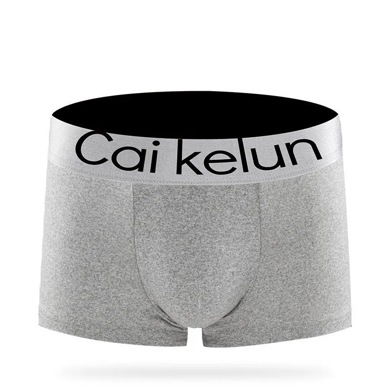 5PCS / LOT Fashion Men Underwear Boxer Men's Panties Plus Size Comfortable Underpants Sexy Solid Mens Underwear U Convex Shorts