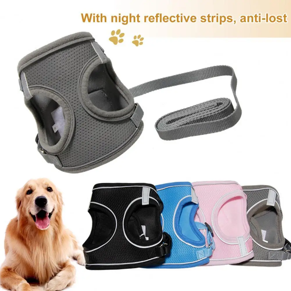 

Comfortable to Wear Breathable Pet Chest Strap Traction Rope Kit for Teddy
