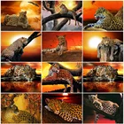 MomoArt 5D DIY Алмазная картина животные полный квадратный дрель алмазная вышивка леопард наборы Алмазная мозаика украшения для дома