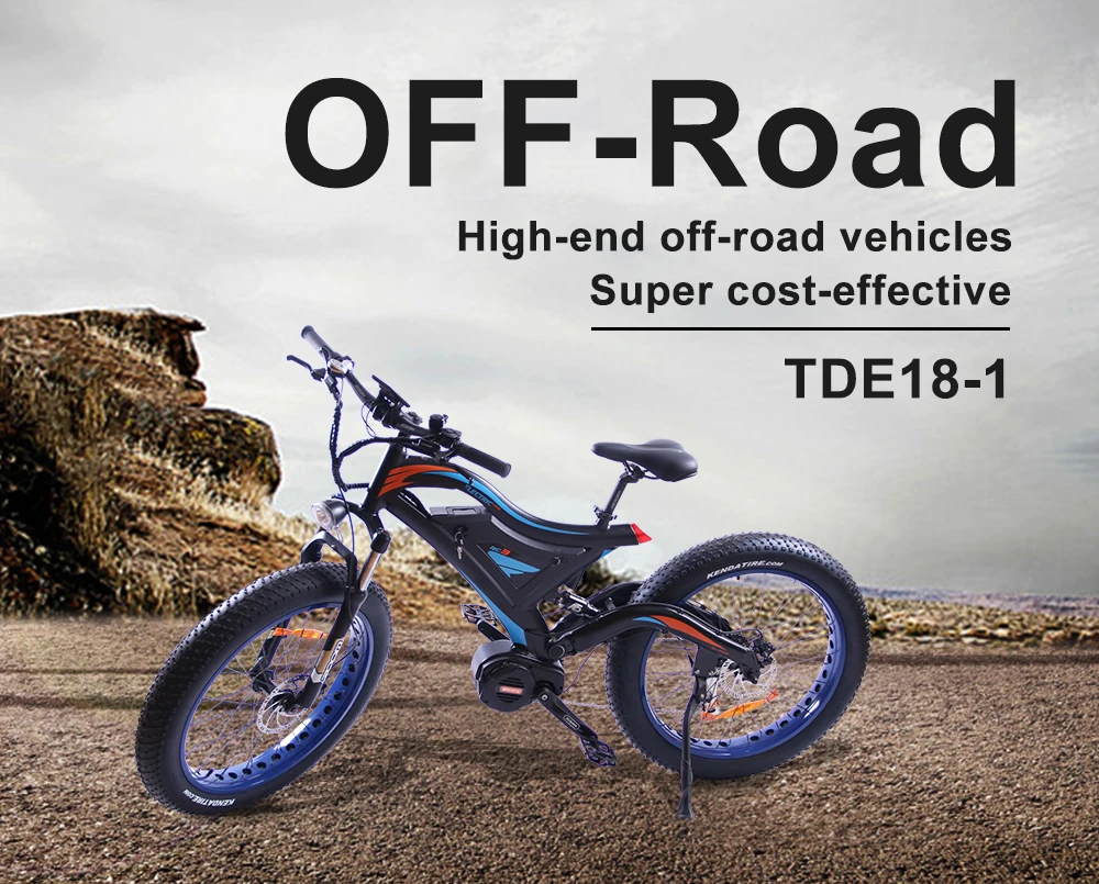 EZBIKE 26 дюймов 1000 Вт мотор электрический велосипед 48 В литиевая батарея электрический горный велосипед электрический Снежный велосипед e велосипед fat tire