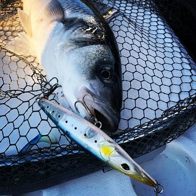 Fangbait WTD приманки для рыбной ловли снасть 2021 topwater карандашные соленой воды 110 мм 130 -