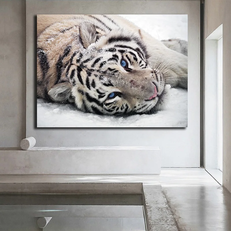 Картина маслом Белые тигры постер с животными домашний декор напечатанный холст