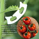 Фиксирующие зажимы для овощей, помидор, 50 шт.лот, для предотвращения изгиба, зажим для поддержки фруктов, цветов, зеленых растений, саженцев