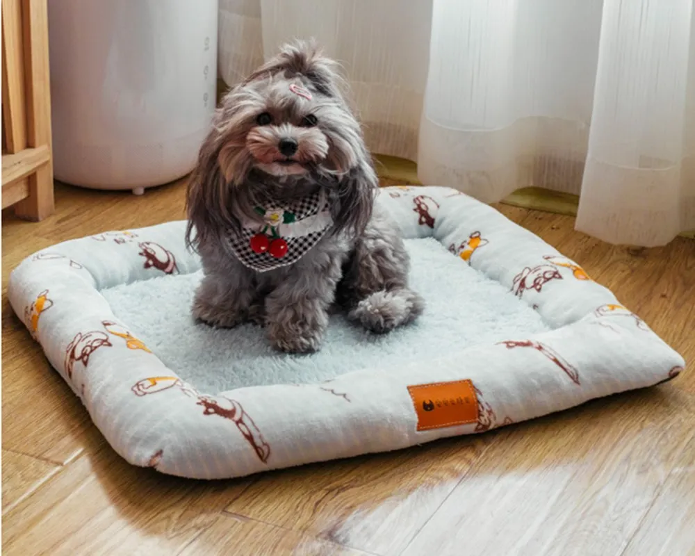 

Dog Cat Bed Mat Four Seasons General Small Dog Teddy Pet Bed Winter Warm Dog Mat Bite Resistant Cat Pet Supplies Bed