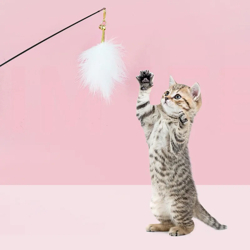 

Interactive Cat Toy Kitten Tease Cats Stick With Bells Pet Training Toy Supplies
