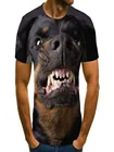 Летняя новая дизайнерская футболка с собакой, Мужская Летняя Повседневная футболка, 3DT футболка с круглым вырезом 2021
