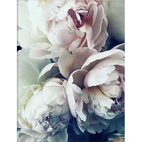 

Алмазная 5D картина «сделай сам», Элегантная вышивка с цветами и пионами, мозаика для вышивки крестиком, домашний декор, рождественский пода...