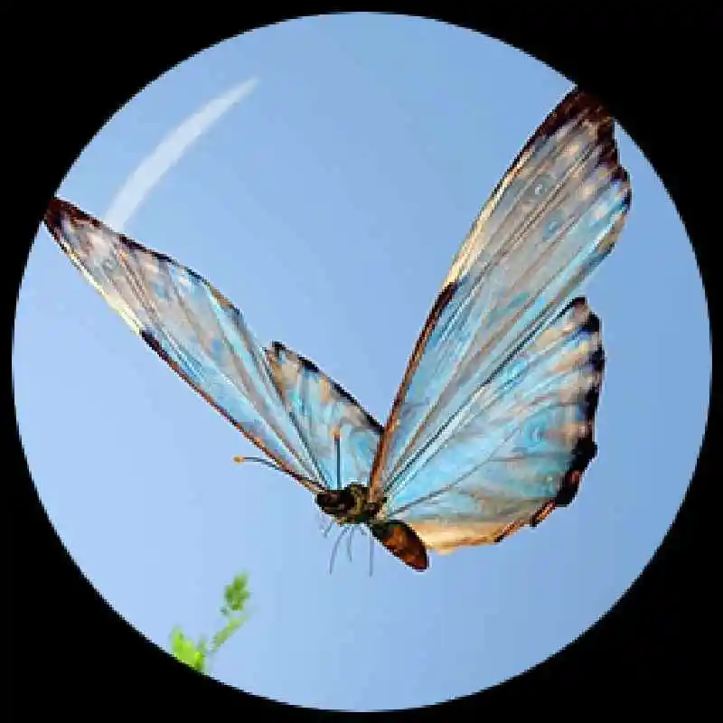 Круглые стеклянные кабошоны в виде бабочек с плоским основанием 12 мм/16 мм/18 мм/20