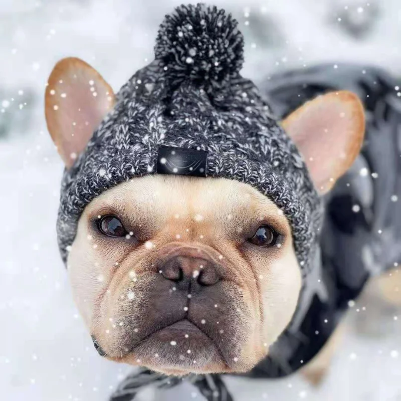 

Pet bucket hat method saks big dog cat dog pet products fall and winter wool knitting dog costume