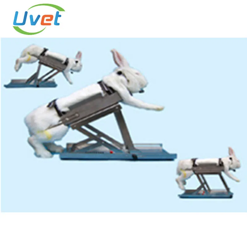 

Uvet Veterinary Multifunction rabbit fixed frame stainless steel Small animals rabbit Medical experiment device