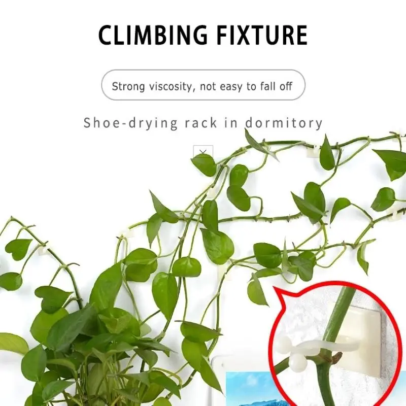 

10pcs Invisible Wall Vines Fixture Wall Sticky Hook Climbing Vine Plant Fixer Home Balcony Garden Decoration Holder