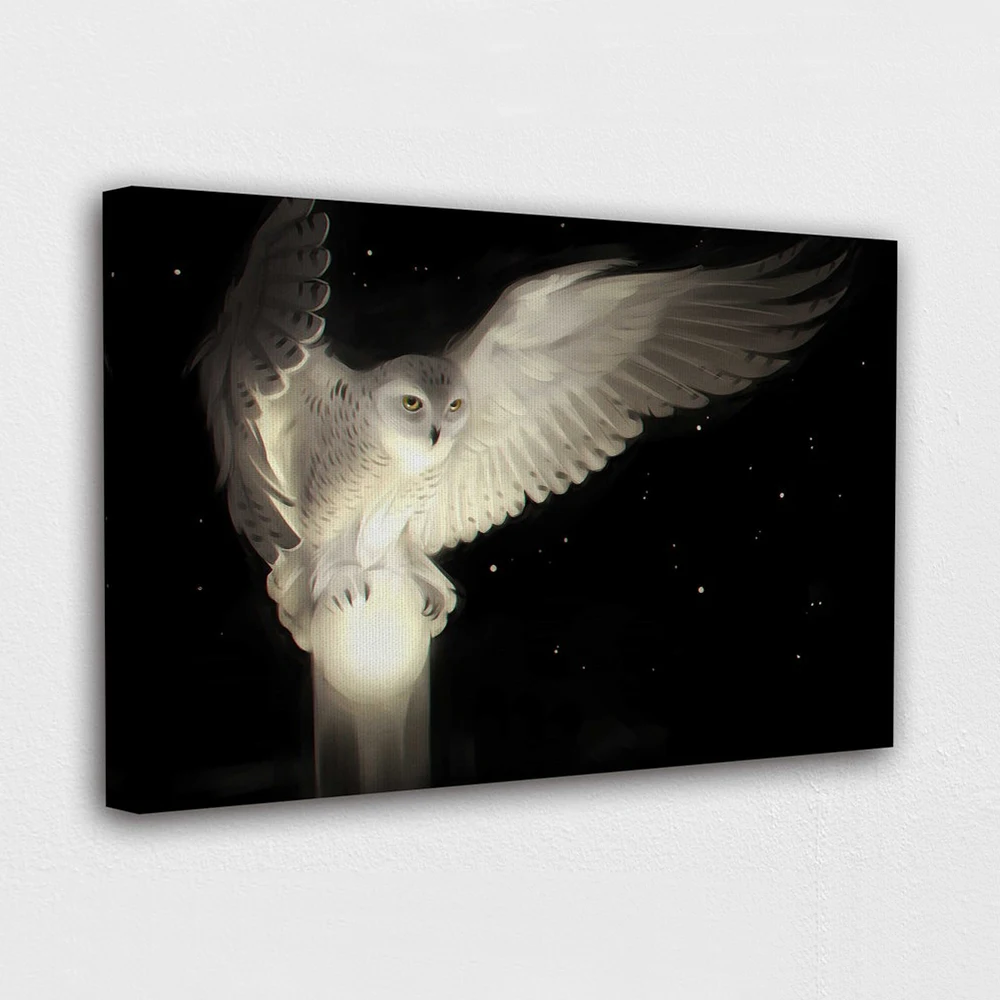 

Home Decoration Wall Art White Owl in Flight Poster HD Prints Night View Canvas Painting Bedroom Modular Animal Pictures Frame