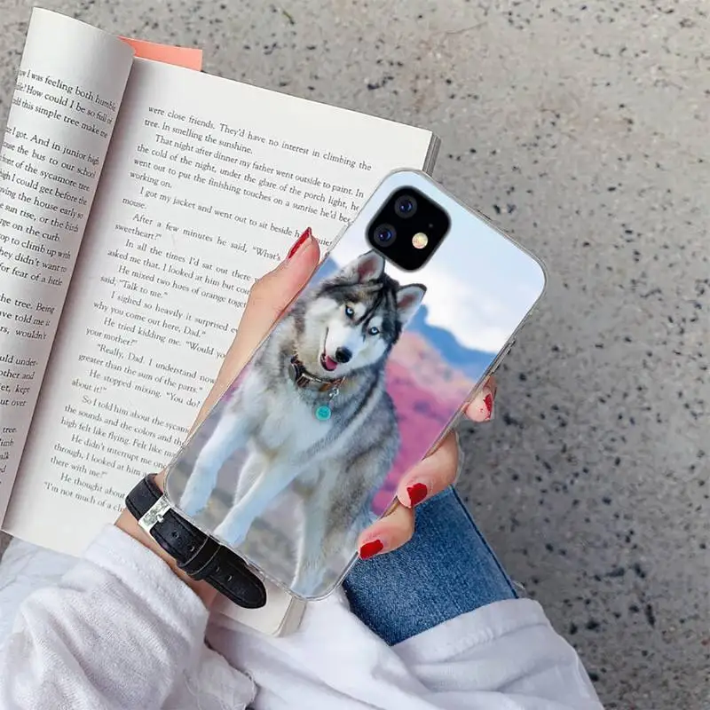 

Husky Dog Phone Case For iphone 12 5 5s 5c se 6 6s 7 8 plus x xs xr 11 pro max mini