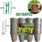 Стаканы бумажные биоразлагаемые для выращивания растений, 8 см, 50100 шт.