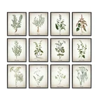 Картина на холсте с травами, винтажные травяные иллюстрации, плакаты и принты, кулинарные травы, ботанический декор для кухни, настенное искусство