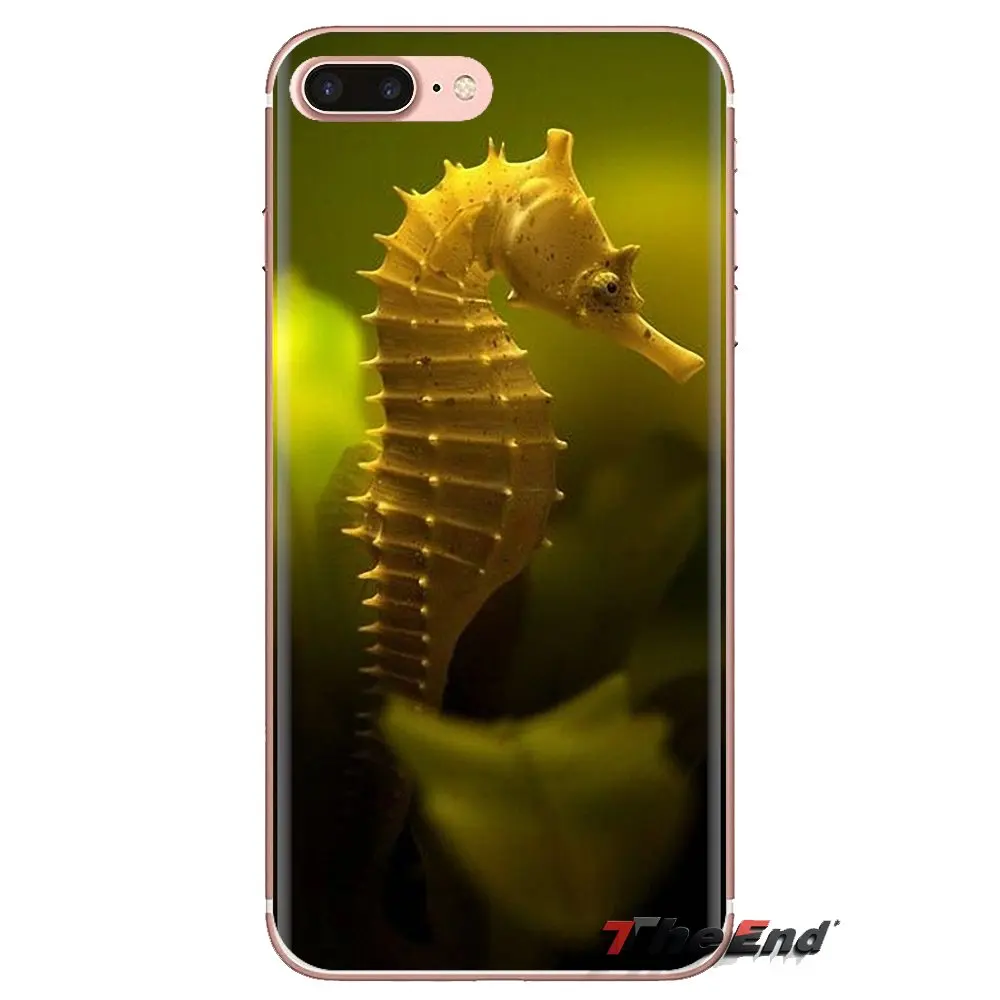 Для Samsung Galaxy A3 A5 A7 A9 A8 звезда A6 плюс 2018 2015 2016 2017 в виде морского конька радужной
