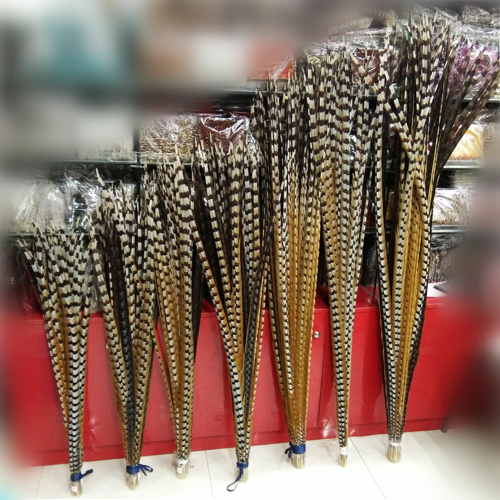 

Natural Lady Amherst Pheasant Feathers for Crafts Carnival Show Reeves Venery Pheasant Tail Feather Decoration Decor Long Plumes