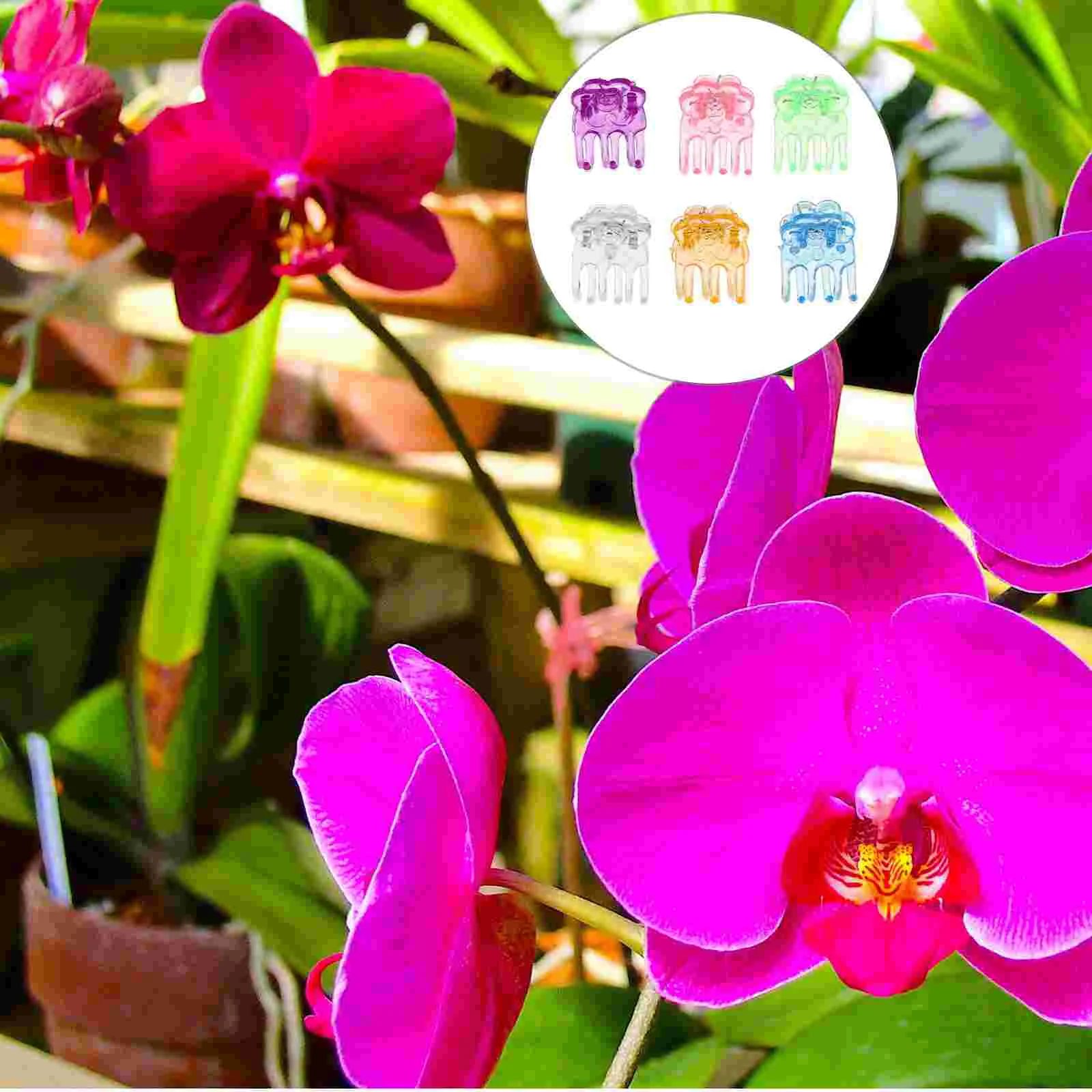 

60pcs Plastic Orchid Support Clips Garden Clamps Flower Vine Fixing Clips